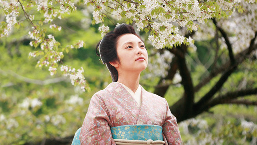 山桜 1枚目の写真・画像