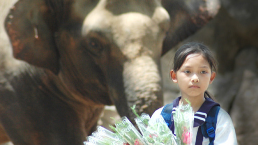 地球でいちばん幸せな場所 1枚目の写真・画像