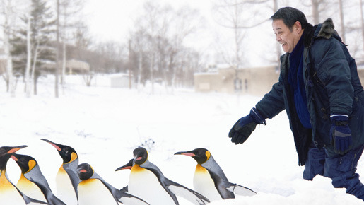 旭山動物園物語　ペンギンが空をとぶ 1枚目の写真・画像