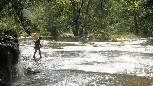 きつねと私の12か月 3枚目の写真・画像