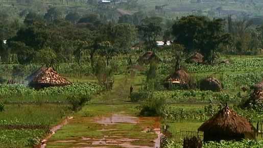 おいしいコーヒーの真実 3枚目の写真・画像
