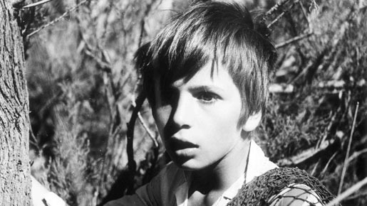 白い馬 3枚目の写真・画像