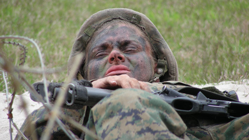 アメリカばんざい -crazy as usual- 4枚目の写真・画像