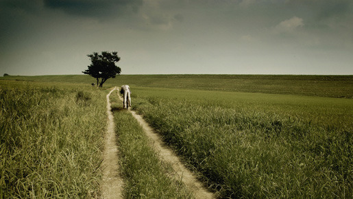 クローンは故郷をめざす 1枚目の写真・画像