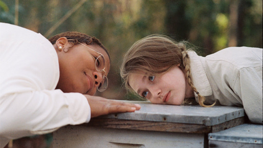 リリィ、はちみつ色の秘密 1枚目の写真・画像