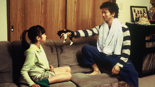 子猫の涙 1枚目の写真・画像