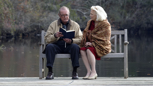 きみに読む物語 7枚目の写真・画像