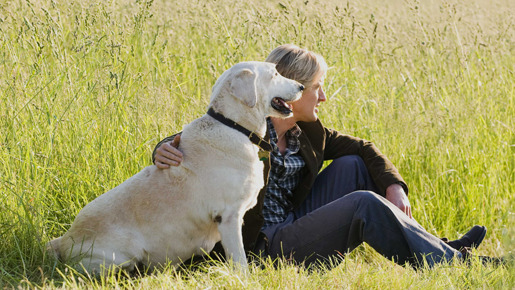 マーリー　世界一おバカな犬が教えてくれたこと 5枚目の写真・画像