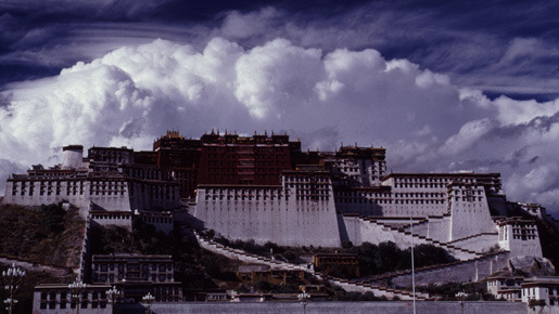 風の馬 2枚目の写真・画像