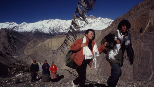 風の馬 3枚目の写真・画像