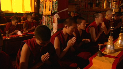 風の馬 5枚目の写真・画像