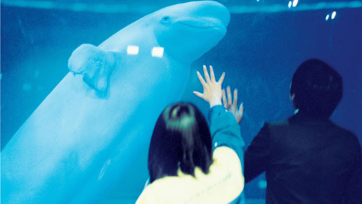 スイートリトルライズ 3枚目の写真・画像