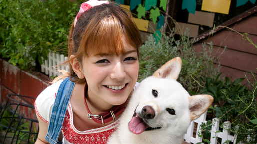 いぬばか 1枚目の写真・画像