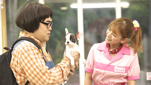 いぬばか 4枚目の写真・画像