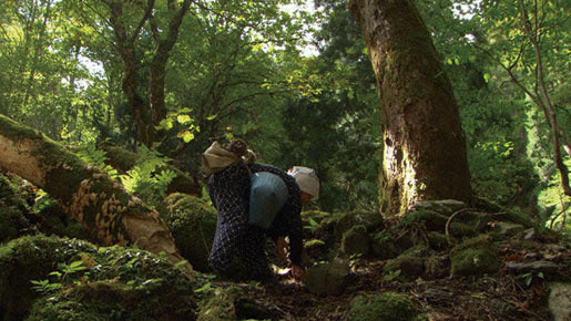 里山 4枚目の写真・画像