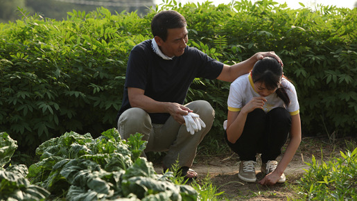 RAILWAYS 49歳で電車の運転士になった男の物語 3枚目の写真・画像