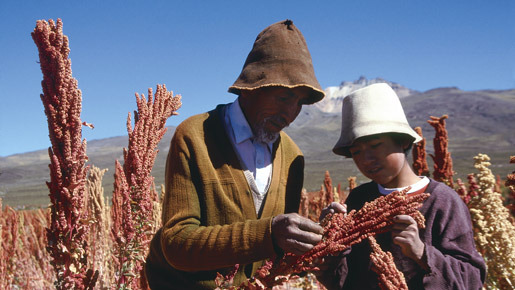 パチャママの贈りもの 3枚目の写真・画像