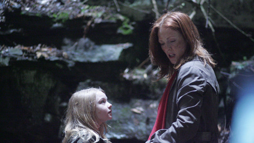 シェルター 15枚目の写真・画像