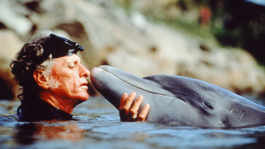 ザ・コーヴ 1枚目の写真・画像