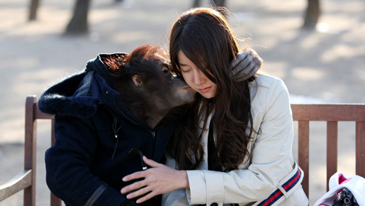 顔と心と恋の関係 9枚目の写真・画像