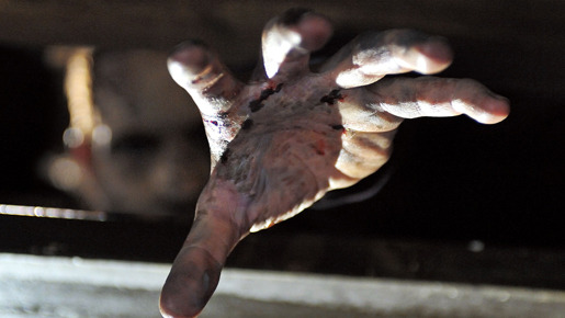 サバイバル・オブ・ザ・デッド 1枚目の写真・画像