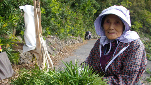 祝の島 2枚目の写真・画像