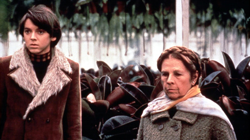 ハロルドとモード／少年は虹を渡る 1枚目の写真・画像