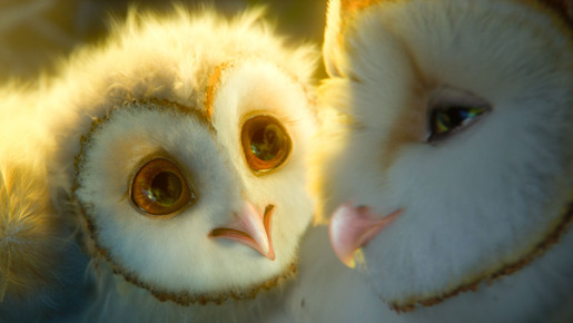 ガフールの伝説 3枚目の写真・画像