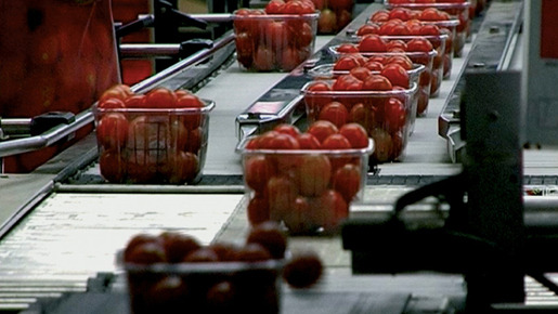 ありあまるごちそう 4枚目の写真・画像