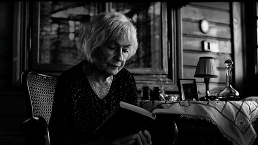 木洩れ日の家で 1枚目の写真・画像