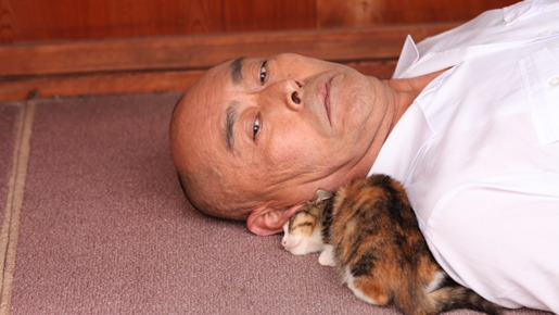 ねこばん3D　とび出すにゃんこ 2枚目の写真・画像