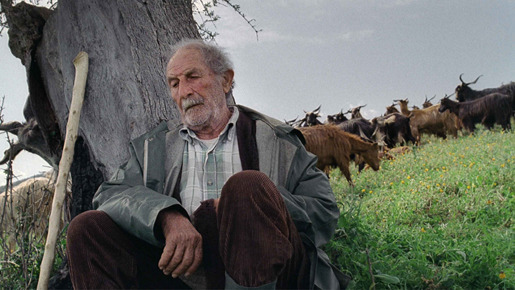 四つのいのち 1枚目の写真・画像