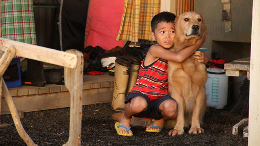 ロック 〜わんこの島〜 5枚目の写真・画像