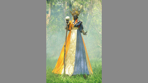 劇場版仮面ライダーオーズ WONDERFUL 将軍と21のコアメダル／海賊戦隊ゴーカイジャー THE MOVIE 空飛ぶ幽霊船 9枚目の写真・画像