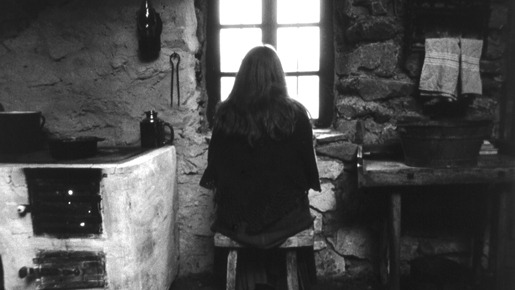 ニーチェの馬 4枚目の写真・画像