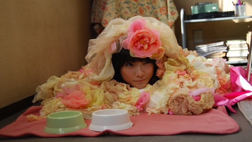 コネコノキモチ 5枚目の写真・画像