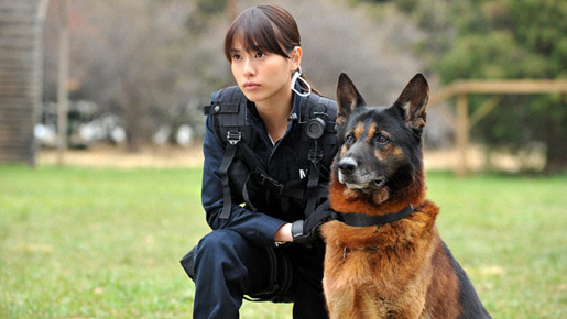 DOG×POLICE　純白の絆 4枚目の写真・画像