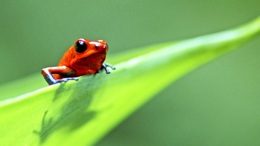 ライフ −いのちをつなぐ物語− 7枚目の写真・画像