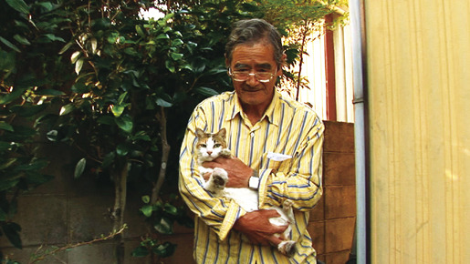 Peace 1枚目の写真・画像