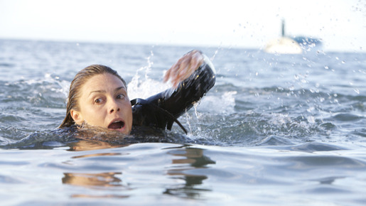 赤い珊瑚礁　オープン・ウォーター 2枚目の写真・画像