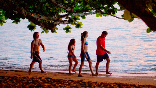 ファミリー・ツリー 5枚目の写真・画像