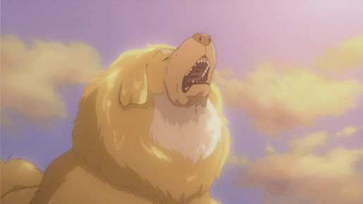 チベット犬物語〜金色のドージェ〜 3枚目の写真・画像