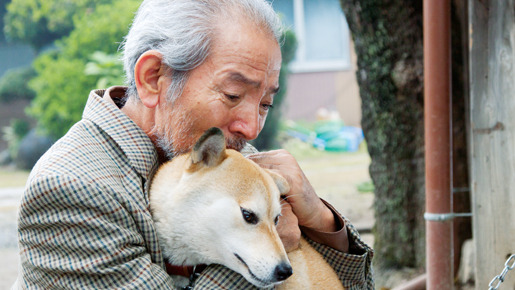 ひまわりと子犬の7日間 11枚目の写真・画像
