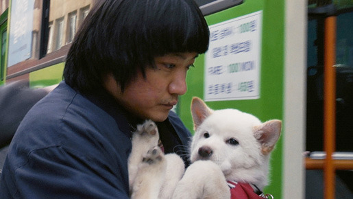 ムサン日記〜白い犬 1枚目の写真・画像