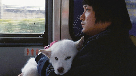 ムサン日記〜白い犬 2枚目の写真・画像