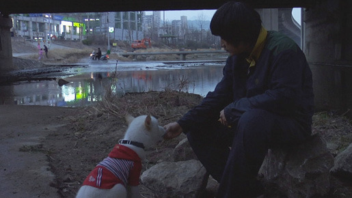 ムサン日記〜白い犬 5枚目の写真・画像