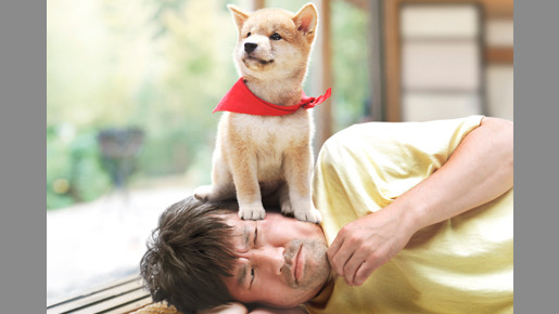 マメシバ一郎 3D 1枚目の写真・画像