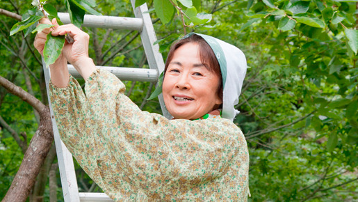 人生、いろどり 2枚目の写真・画像