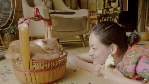 レンタネコ 1枚目の写真・画像