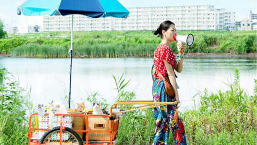 レンタネコ 2枚目の写真・画像